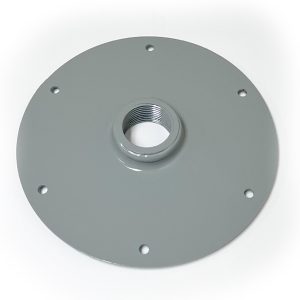 CR-81